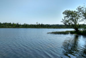 Proud Lake Recreation Area