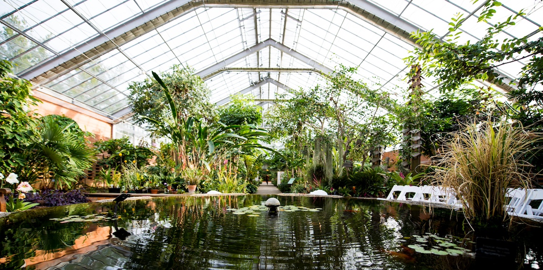 Inside the conservatory