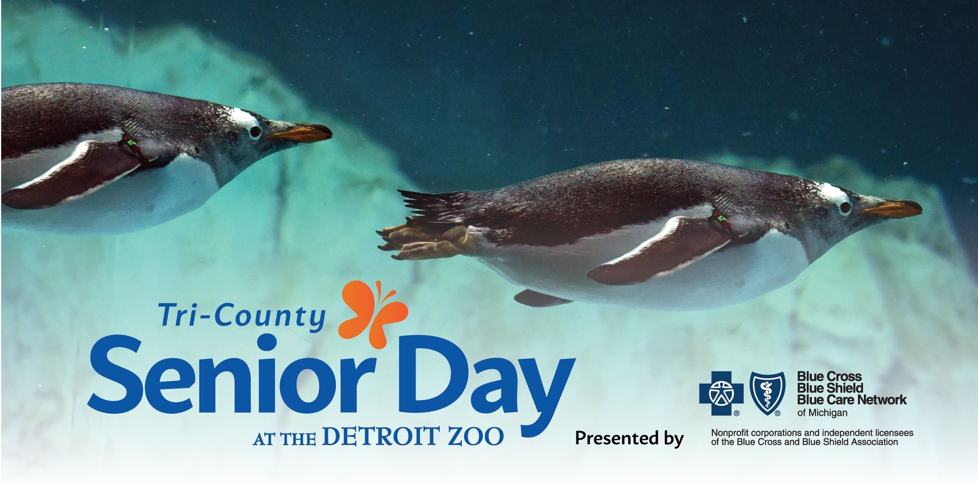 Senior Day at the Detroit Zoo Chevy Detroit