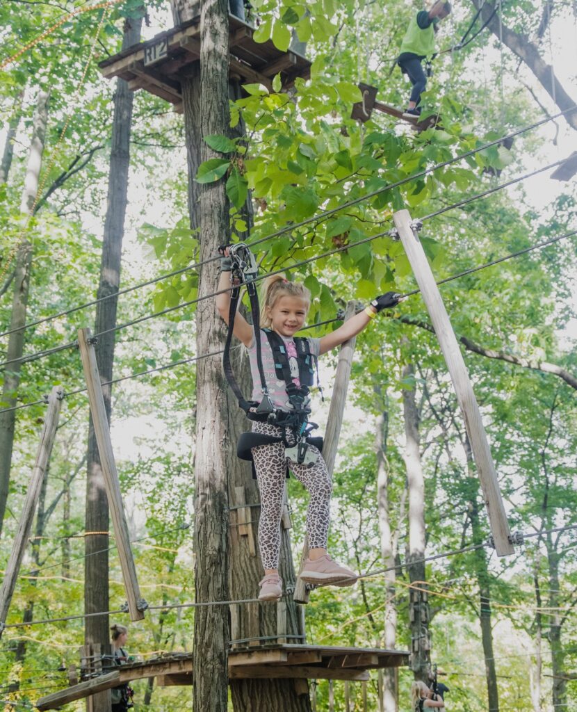 tree challenges at treerunner adventure parks