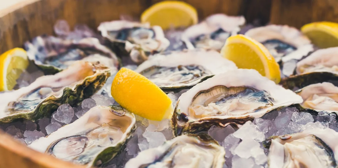 a dozen oysters on ice with lemon, seafood
