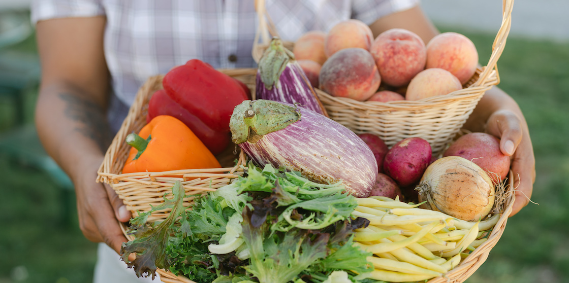Fresh produce basket from Trinity Health Farms