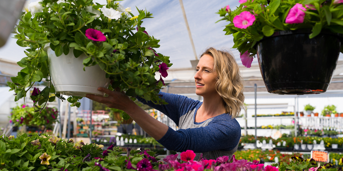 Woman selects flowers at Vans Valley Greenhouse.