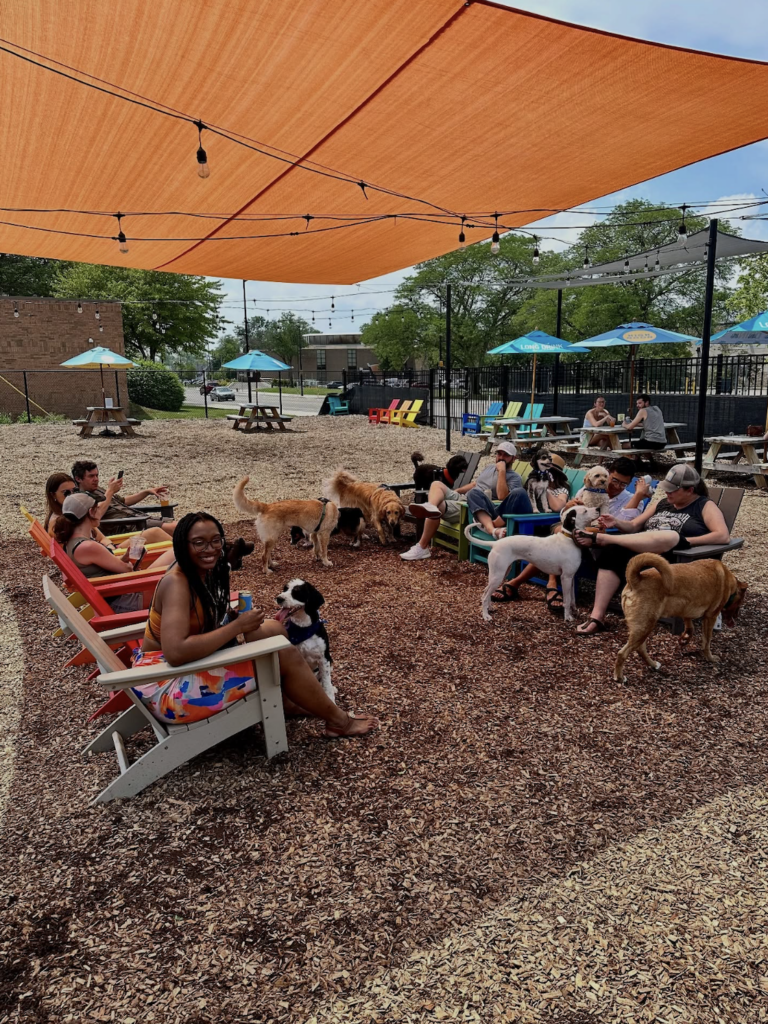 Shaded seated area with dogs and their people