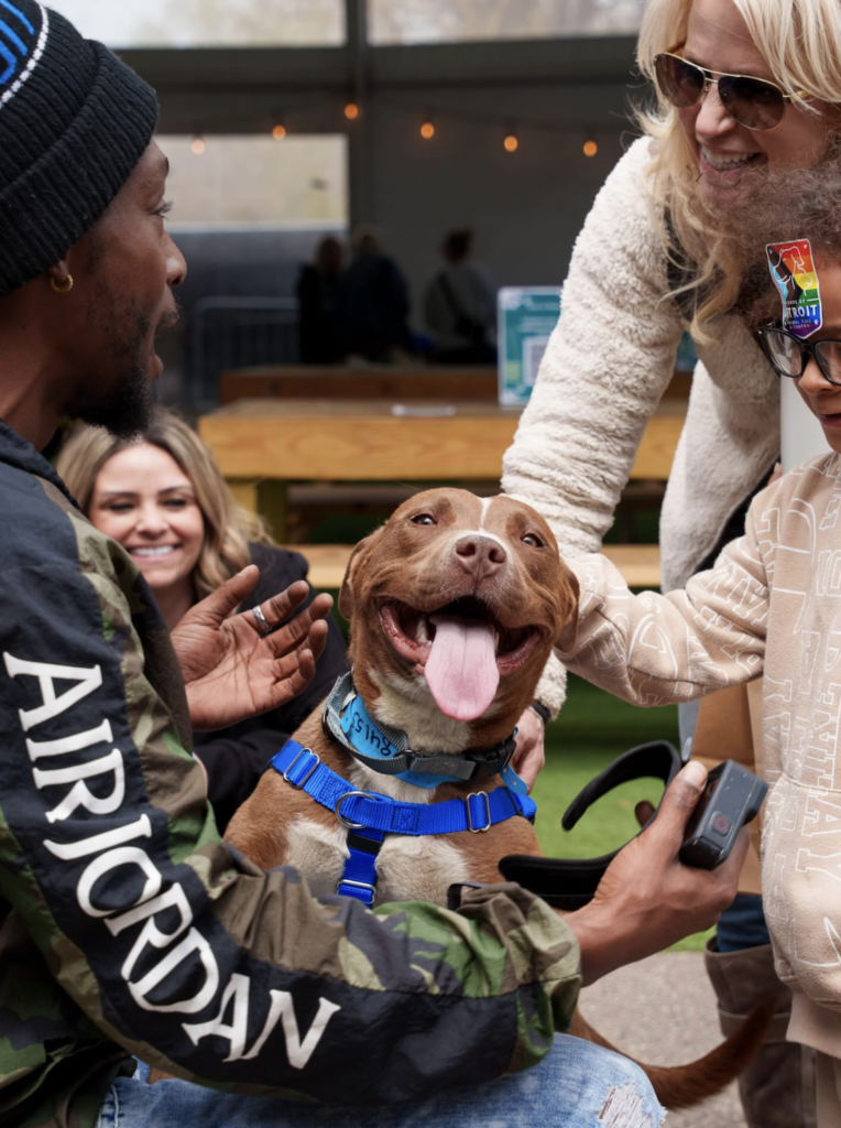 Smiling pitbull being petted at dog-friendly Detroit Shipping Company