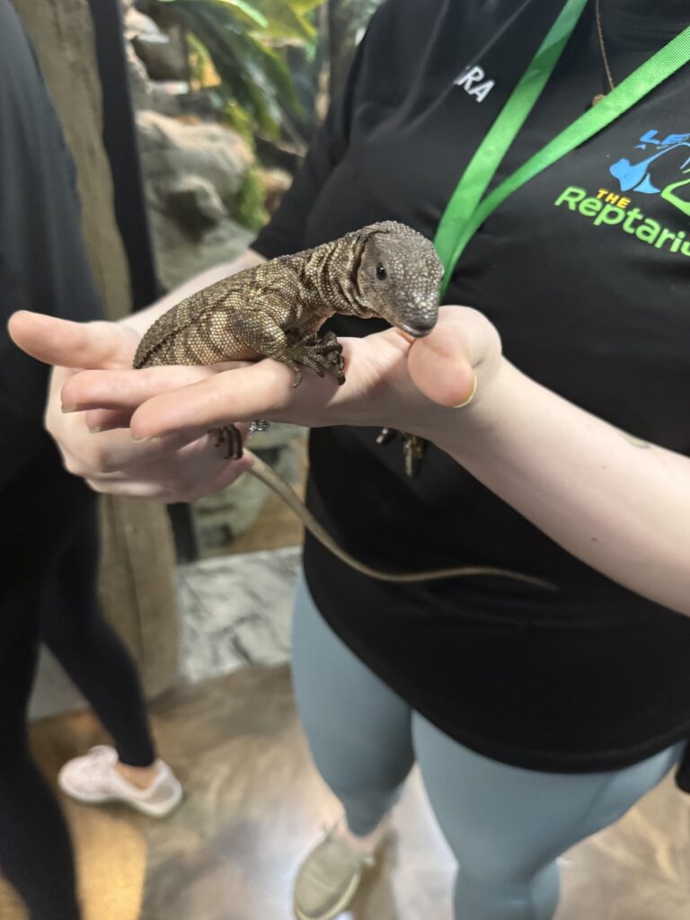Weasley at LegaSea Aquarium