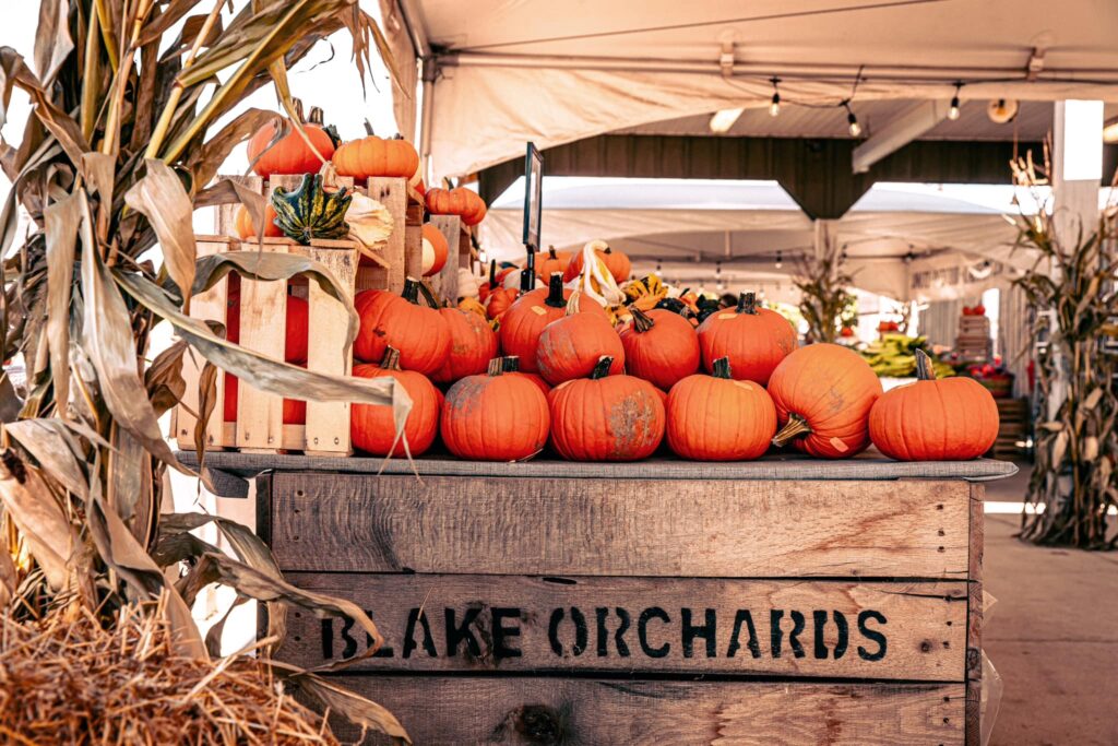Blake's Orchard Sign with pumpkins