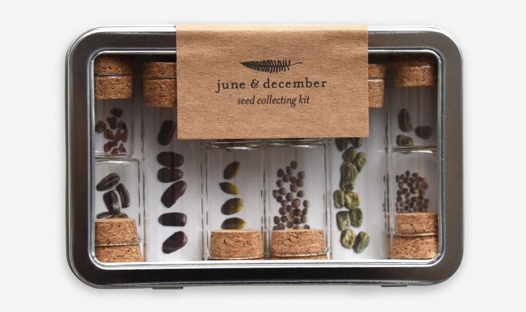 Small seed collecting kit from June & December