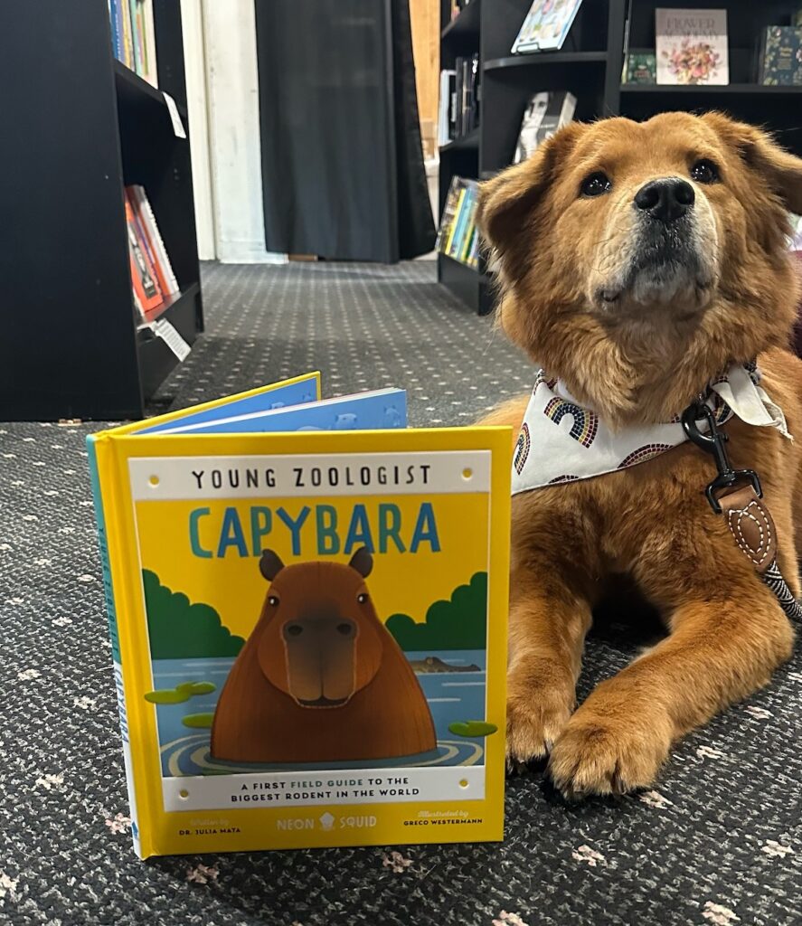 sidetrack bookshop pup reading