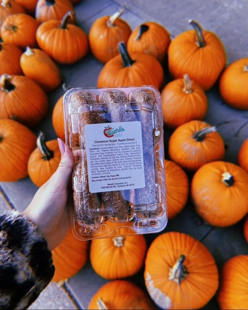 wiard's orchard apple donuts with pumpkins in the background