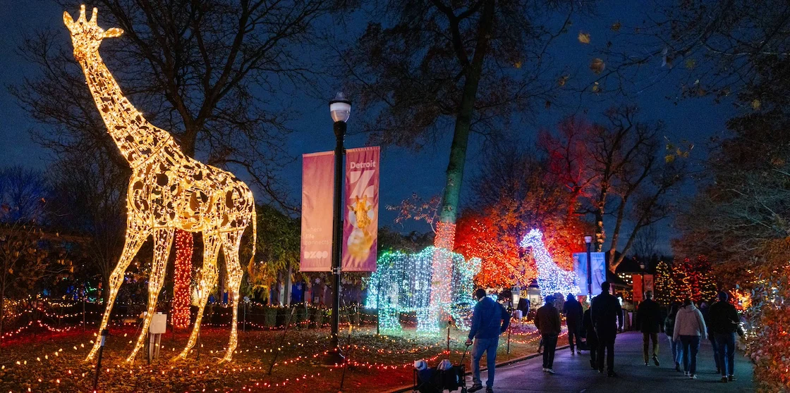 Detroit Zoo Wild Lights display - holiday events