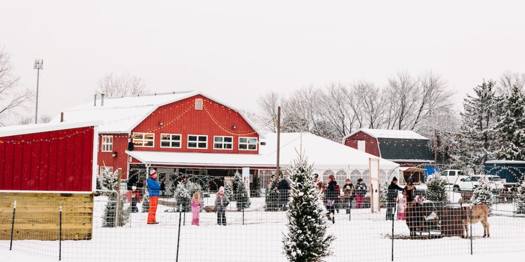 snow day at Bowers School Farm with animals, lights, and more