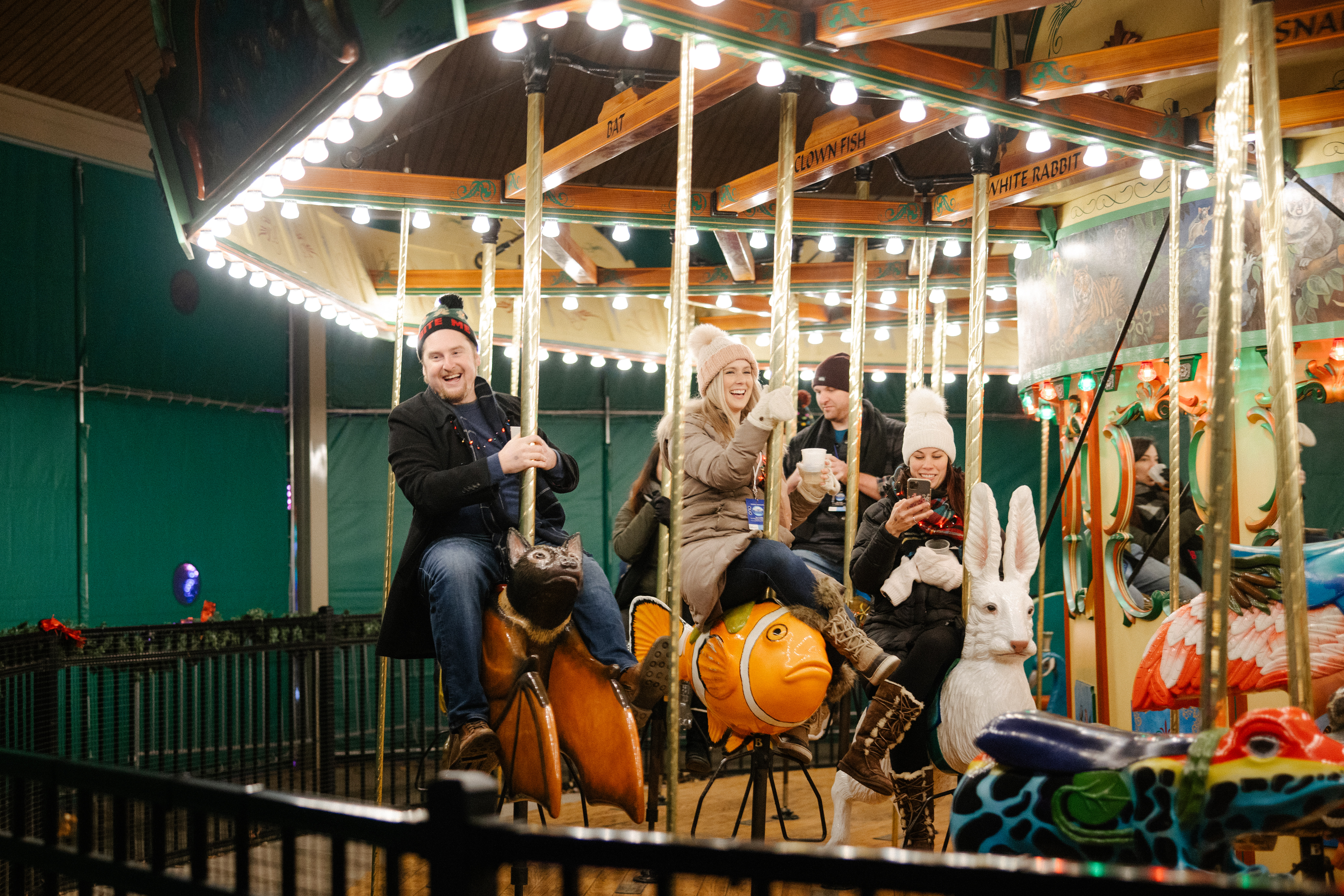 merry go round at the detroit zoo