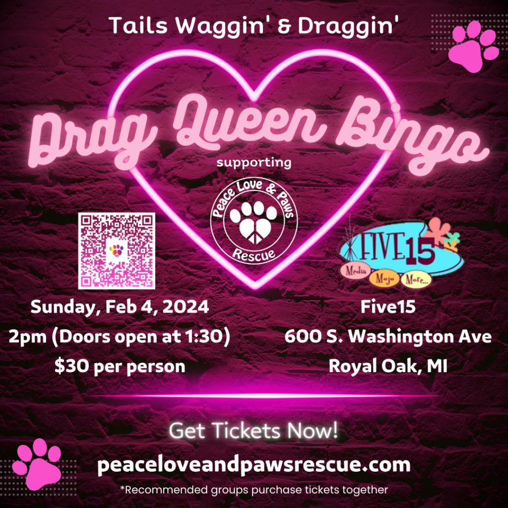 peace love & paws galentine's day drag queen bingo fundraiser flyer