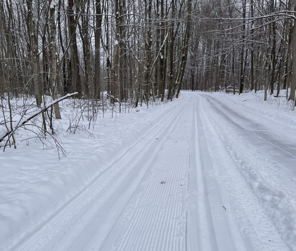 snowy winter trail inside maybury state park
