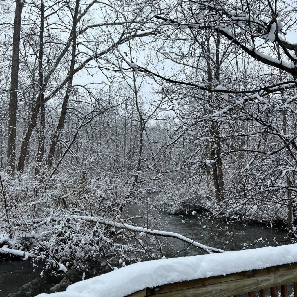 stream along a snowy paint creek trail