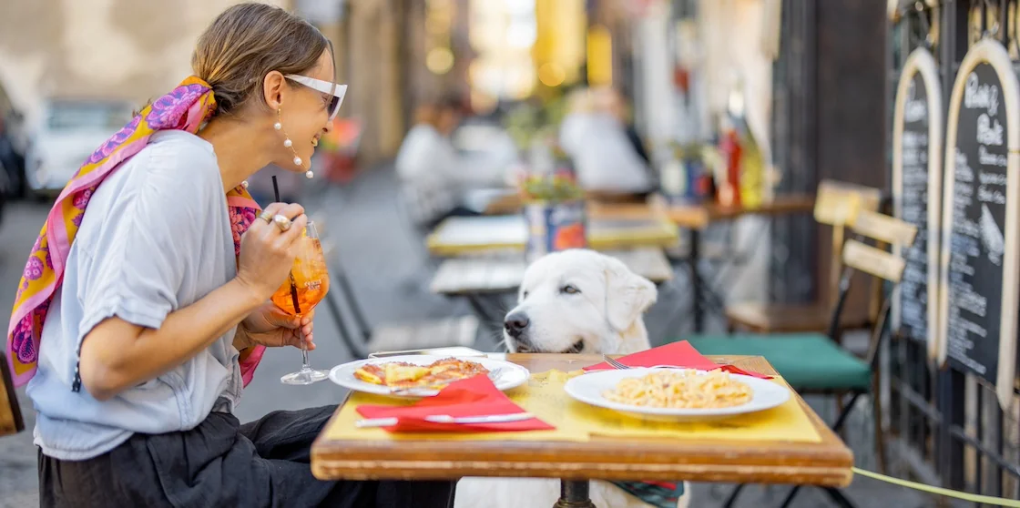 Woman eating italian pasta while sitting with a dog at a pet-friendly restaurant on the street. Maremma, italian shepherd dog