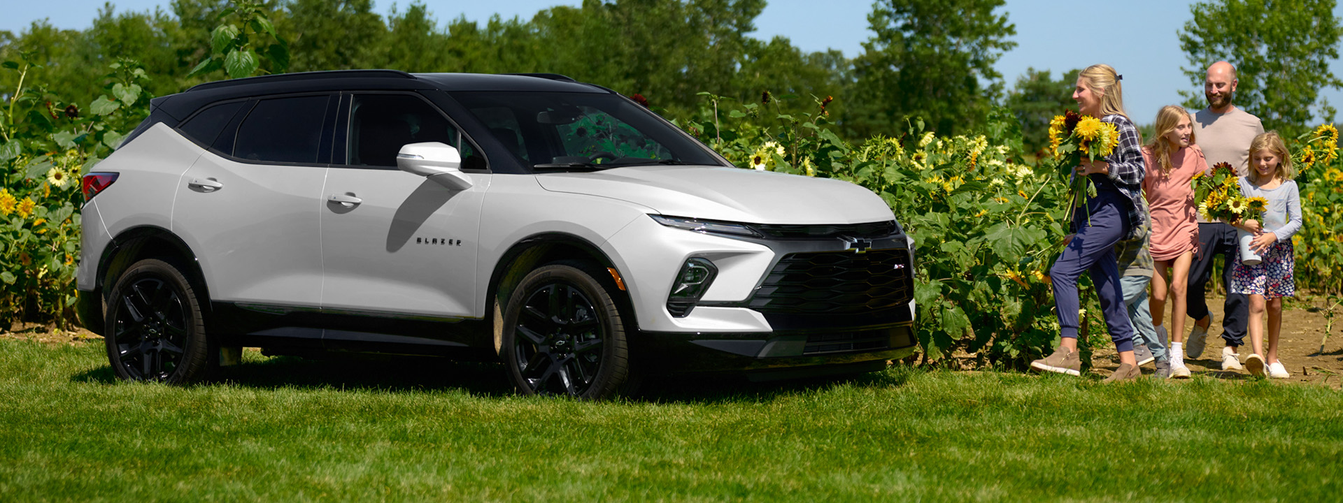 White Blazer sunflower fields