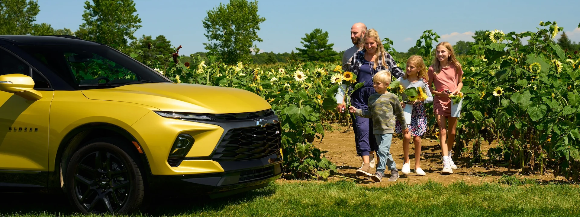 family in a sunflower field