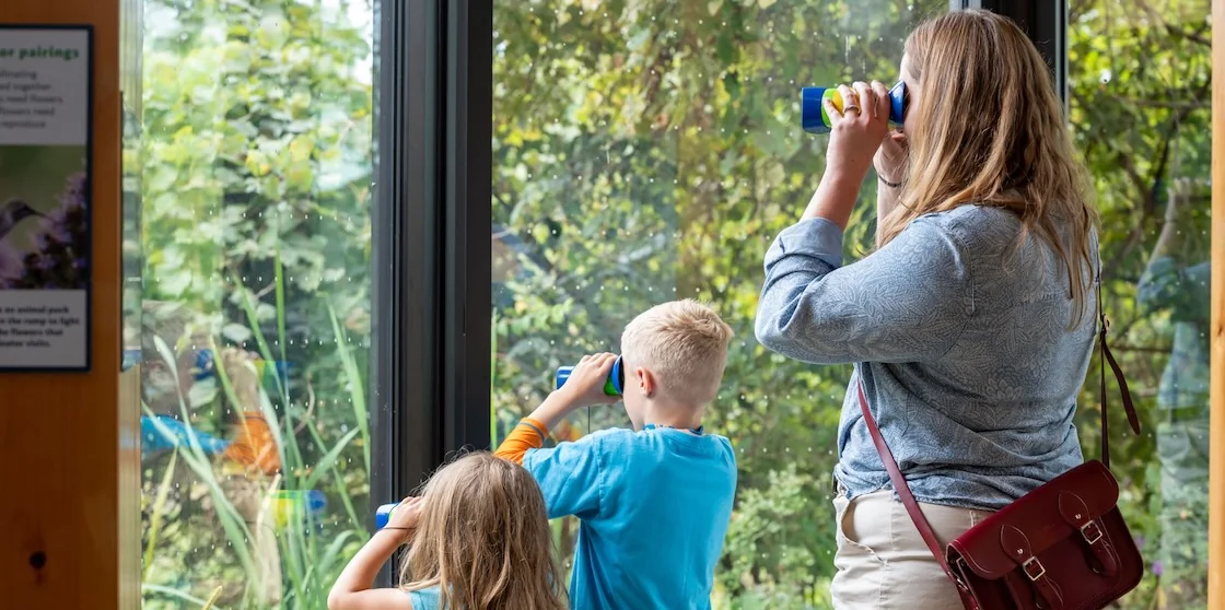 family with binoculars at the Belle Isle Nature Center - summer fun
