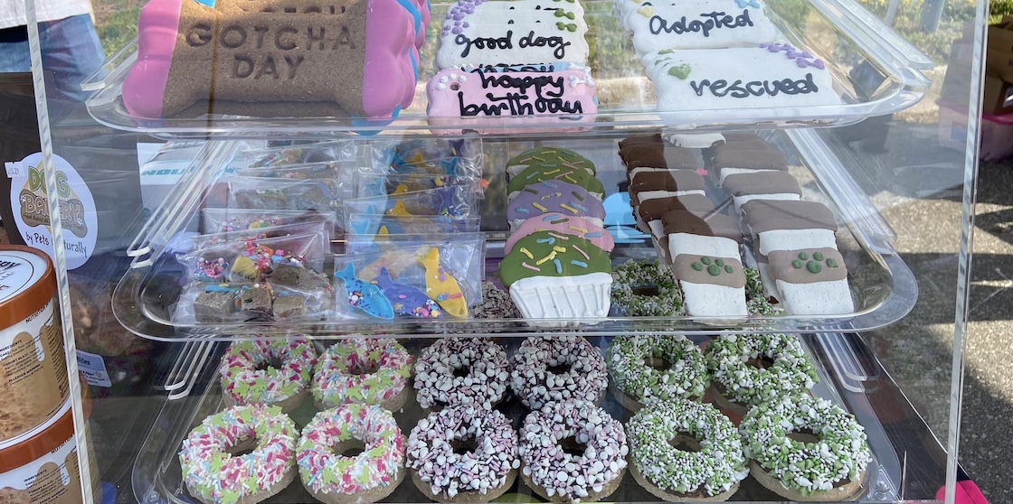 dog treats in a display case from wiggle waggle barkery