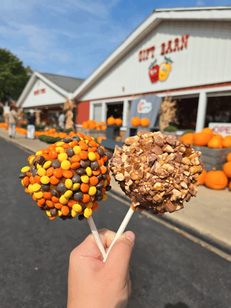 caramel apples from wiards orchards