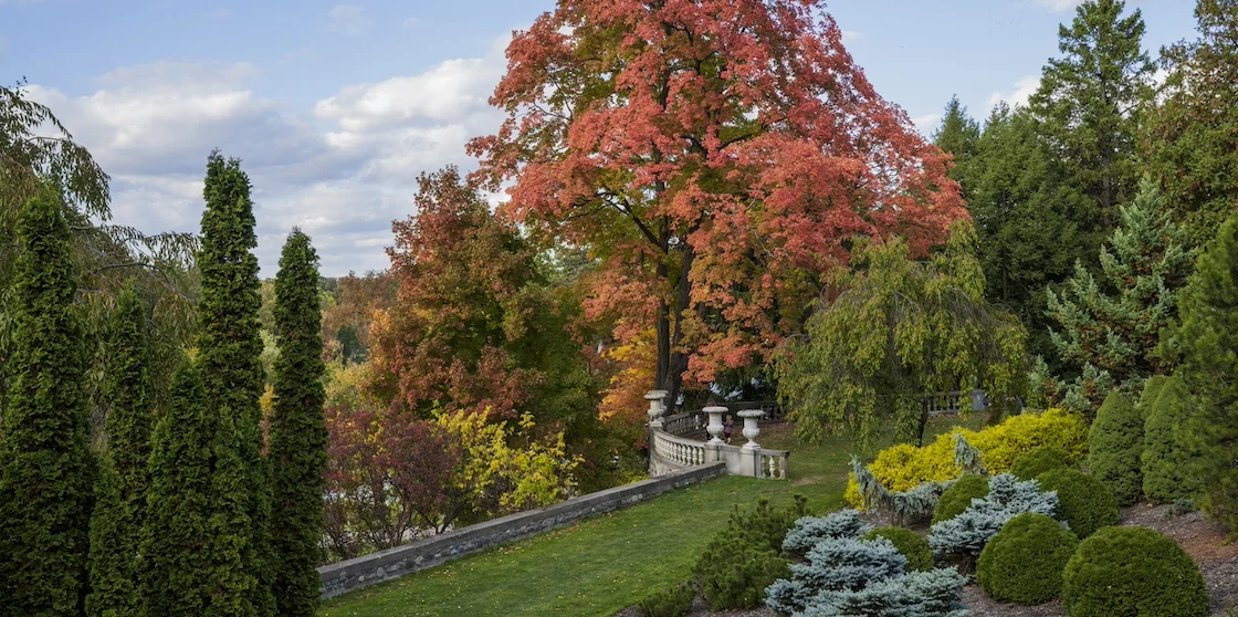 Fall colors at Cranbrook Gardens in Bloomfield Hills, Michigan