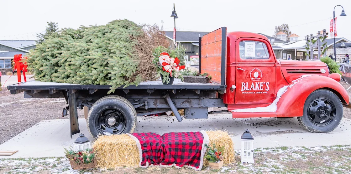 blake's december photo backdrop