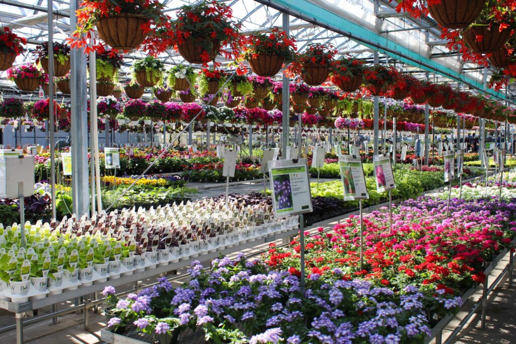 farmington hills business - farmer john's greenhouse interior