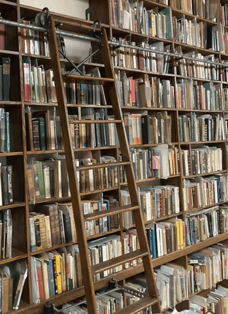Shelves of books at John K. King's Corktown location