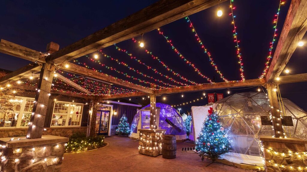 Blake's Orchard & Cider Mill igloo dining